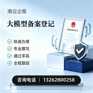 中山大模型备案申报服务