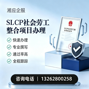 中山SLCP社会劳工整合项目申报服务