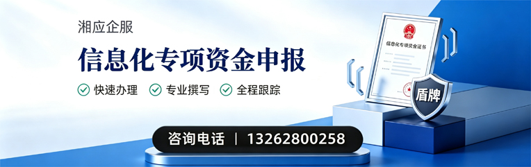中山信息化专项资金申报服务