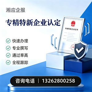 中山专精特新企业申报服务