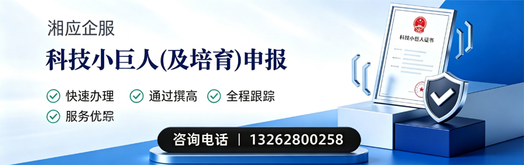 中山科技小巨人及培育企业申报服务