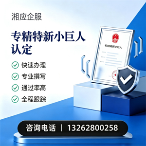 中山专精特新小巨人申报服务