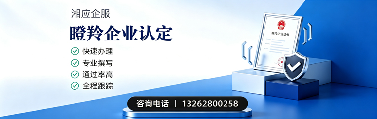 中山瞪羚企业认定申报服务