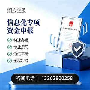 中山信息化专项资金申报服务