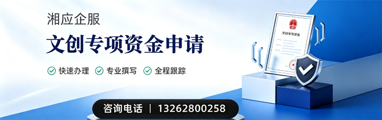 中山文创专项资金申报服务