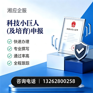 中山科技小巨人及培育企业申报服务