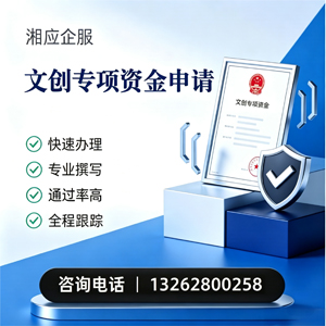 中山文创专项资金申报服务