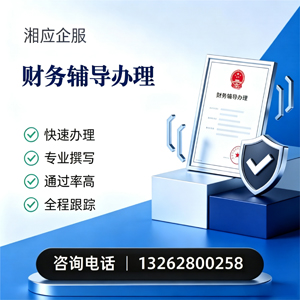 中山财务辅导申请服务