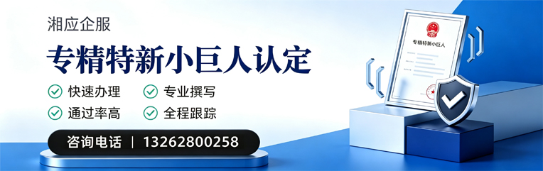 中山专精特新小巨人申报服务